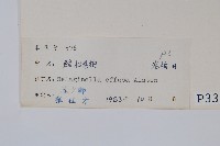 疏松卷柏藏品圖，第2張