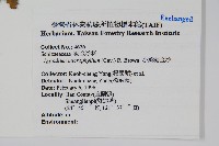 小葉海金沙藏品圖，第2張