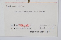 中華鱗毛蕨藏品圖，第2張