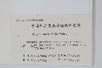 鳳尾蕨藏品圖，第7張