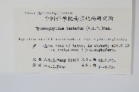 華東膜蕨藏品圖，第2張