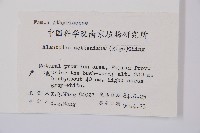 江南短腸蕨藏品圖，第2張