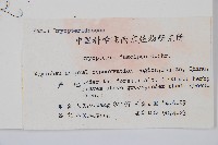 黑足鱗毛蕨藏品圖，第2張