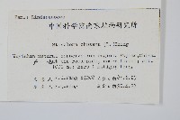 烏蕨藏品圖，第2張