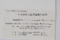 翅軸假金星蕨、短柄卵果蕨藏品圖，第2張