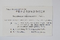 江南卷柏藏品圖，第2張