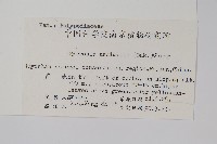 相異石韋藏品圖，第2張