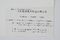武夷瘤足蕨藏品圖，第2張