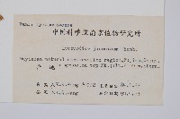 石松藏品圖，第2張