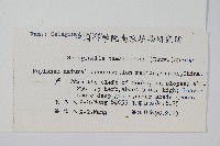 萬年松藏品圖，第2張