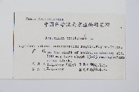 鐵角蕨藏品圖，第2張