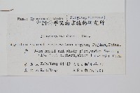 倒葉瘤足蕨藏品圖，第2張