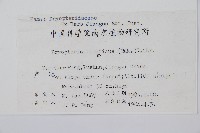 兩色鱗毛蕨藏品圖，第2張