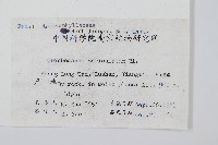 瓶蕨藏品圖，第2張