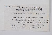 小葉複葉耳蕨藏品圖，第2張