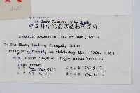 禾稈蹄蓋蕨藏品圖，第1張