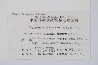 中華鱗毛蕨藏品圖，第2張