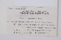 修株蹄蓋蕨藏品圖，第2張