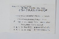 玉山卷柏藏品圖，第2張