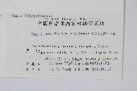 粵瓦葦藏品圖，第2張