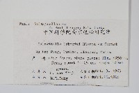 玉山卷柏藏品圖，第2張