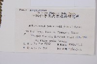 毛軸假蹄蓋蕨藏品圖，第5張