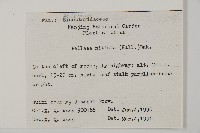 旱蕨藏品圖，第2張