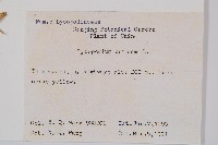 過山龍藏品圖，第2張