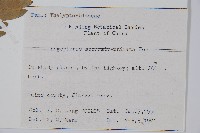 登錄號:P003476藏品圖，第2張