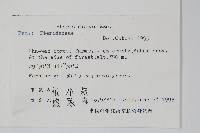 天草鳳尾蕨藏品圖，第2張