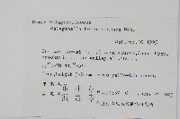 姬卷柏藏品圖，第2張