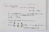 單葉雙蓋蕨藏品圖，第2張