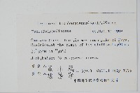 瓦葦藏品圖，第2張