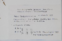 登錄號:P003497藏品圖，第2張