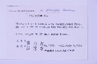 北京鐵角蕨藏品圖，第2張