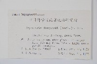 闊鱗鱗毛蕨藏品圖，第2張