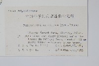 日本水龍骨藏品圖，第2張