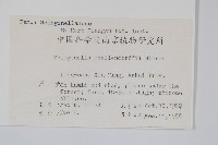 江南卷柏藏品圖，第2張