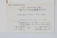 大陰地蕨、大羽陰地蕨藏品圖，第2張