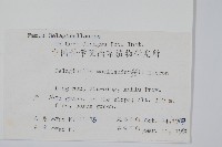 江南卷柏藏品圖，第2張