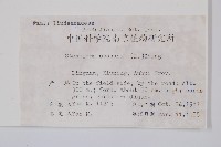 烏蕨藏品圖，第2張