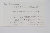 瓦葦藏品圖，第2張