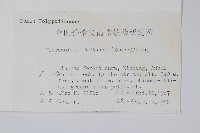 大星蕨藏品圖，第2張