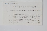 抱石蓮藏品圖，第2張