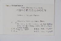 紐柄書帶蕨藏品圖，第2張