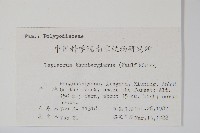 瓦葦藏品圖，第2張