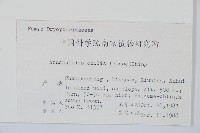 細葉複葉耳蕨藏品圖，第2張