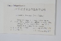 廬山瓦葦藏品圖，第2張