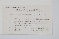 長柄假脈蕨藏品圖，第2張