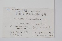 江南卷柏藏品圖，第2張